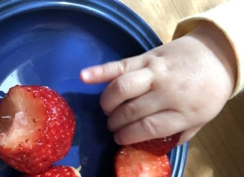 赤ちゃんの手といちご 手づかみ 離乳食 幼児食 発達