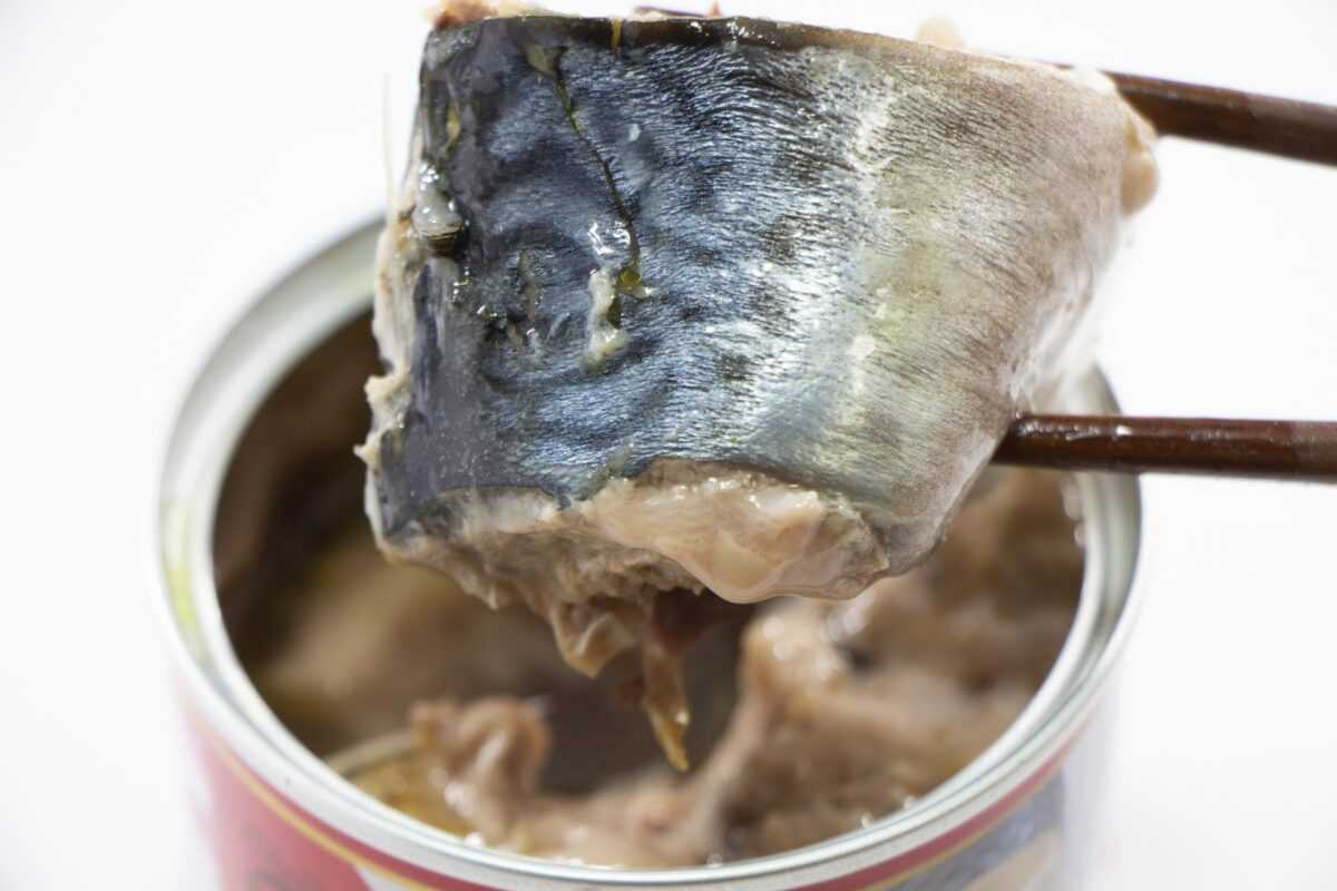 サバ缶 妊活 妊娠 ママ 鯖