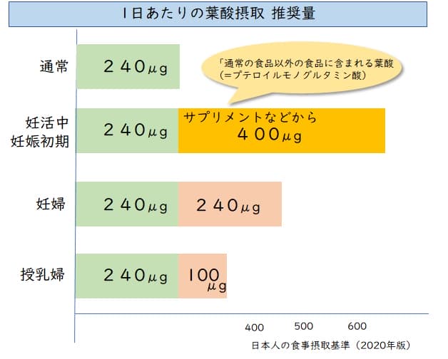 葉酸量 推奨量 目安 妊娠中 妊活