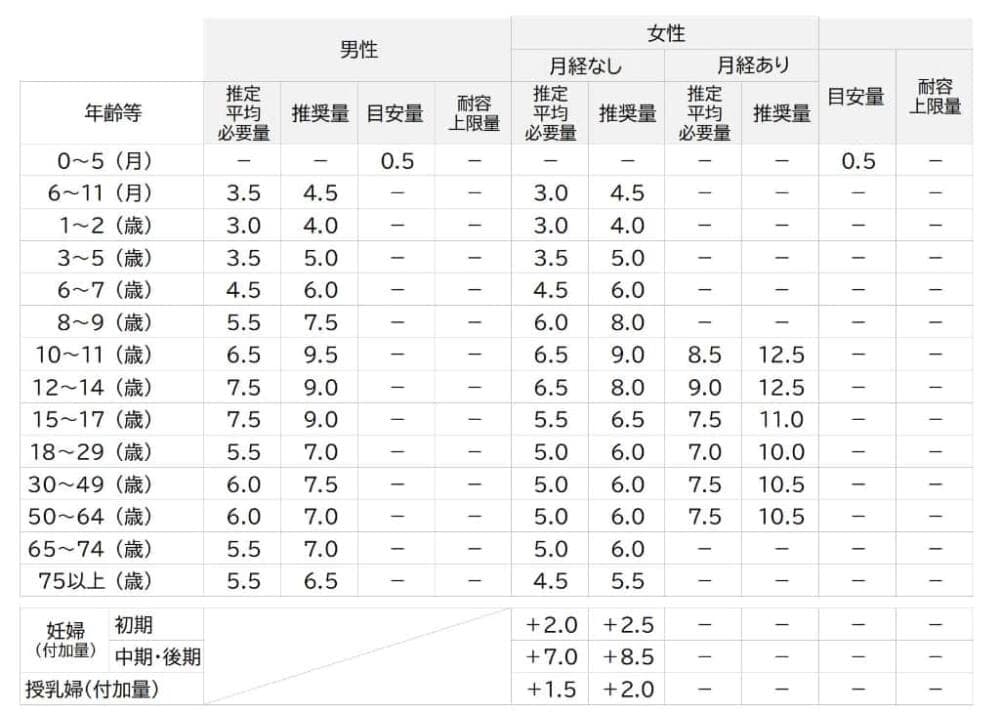 鉄 日本人の食事摂取基準2025年 推奨量 目安量 所要量