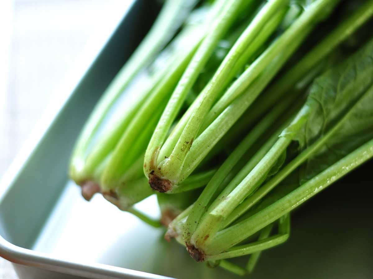 野菜についた泥や土 衛生 冷蔵庫