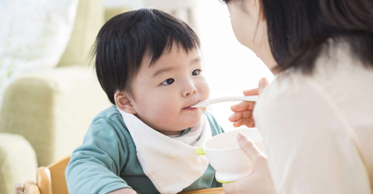 離乳食完了とは 離乳食とは 離乳完了から幼児食への移行