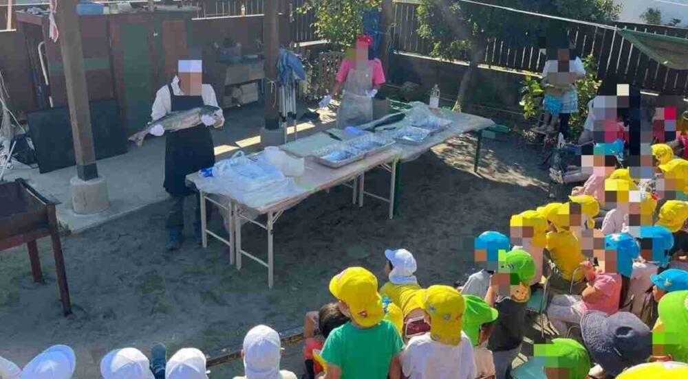 魚 解体 おもしろい 食育 保育園