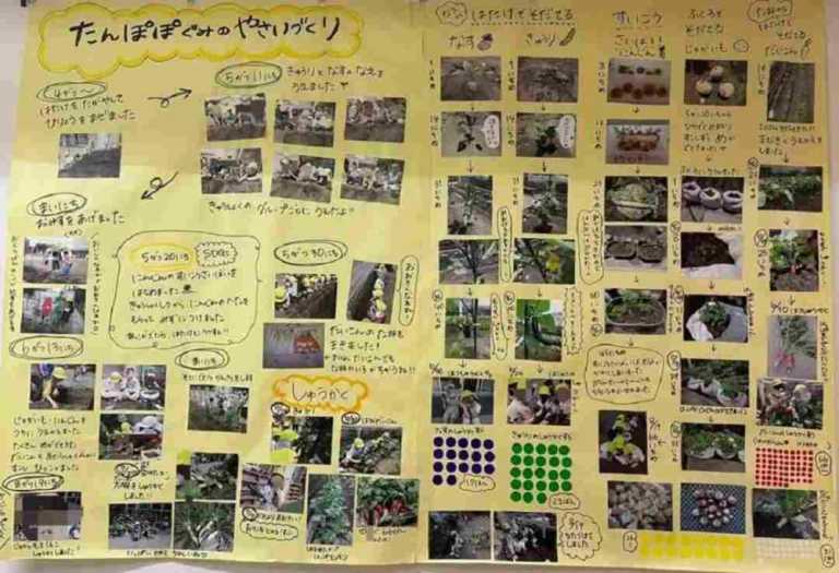 食育 おもしろい 工夫 保育園 展示 栽培 収穫 例