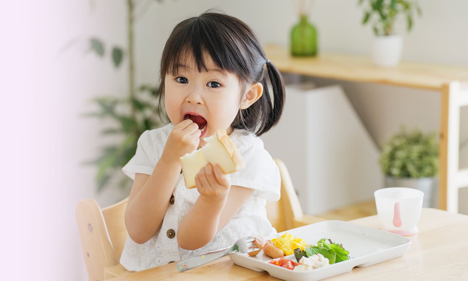 幼児食アドバイザー養成講座