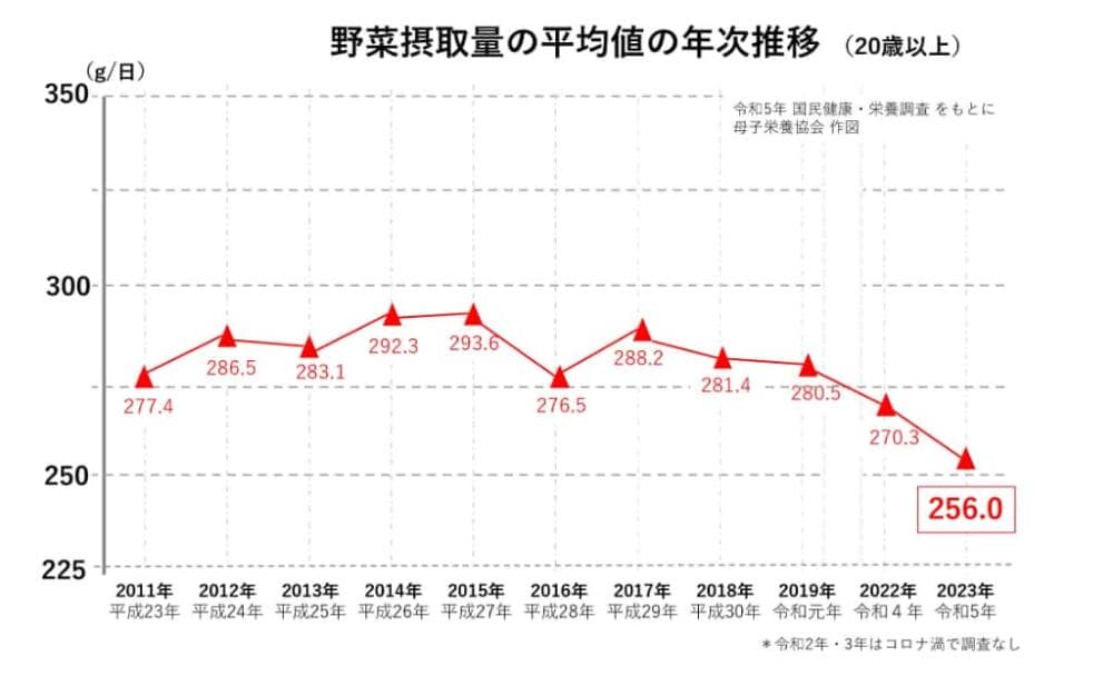 野菜 日本人 摂取量 250g 350g あと100g 令和5年 2024年 国民健康・栄養調査 国民健康栄養調査